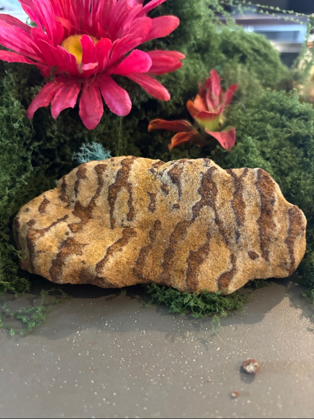 Zebra Sandstone